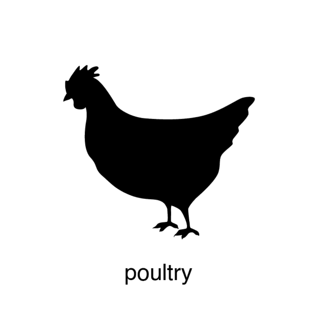 South Florida Foods Poultry